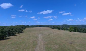22017 E State Hwy 76, Ava, MO 65608