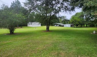 786 Blackberry Rd, Baconton, GA 31716