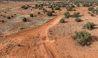 76 County Road N5552, Concho, AZ 85924