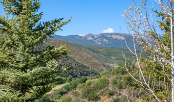553 Brush Creek Rd, Aspen, CO 81611