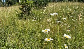 13643 Sundance Trl, Bigfork, MT 59911