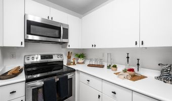 306 Mananai Place 4D, Honolulu, HI 96818