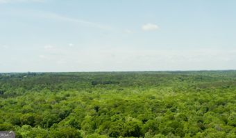 County Road 231, Abbeville, AL 36310