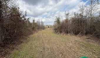 W Factory St, Amite, LA 70422