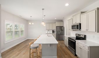 118 W Sand Luggs Ct, Angier, NC 27501