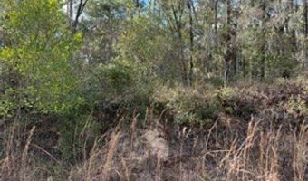 SW 22nd Pl, Bell, FL 32619
