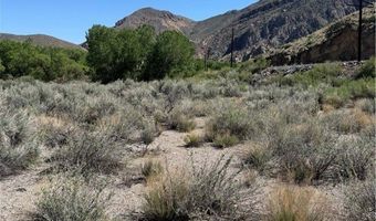 Carp Road, Caliente, NV 89008