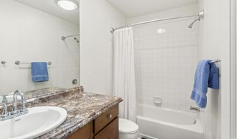 965 Lupine Cir, Basalt, CO 81621