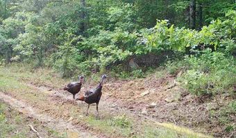 TR 1 & 17 K-TRAIL, Albion, OK 74571