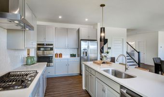 295 Williams Grove Ln, Apex, NC 27523