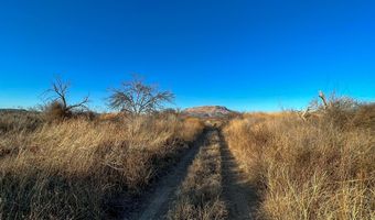 ERR State Hwy 118 S, Alpine, TX 79830