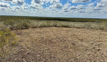 332 CR 171, Alice, TX 78332