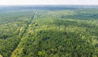 Burks Mountain Road, Appling, GA 30802