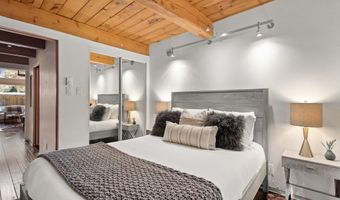 1024 E Cooper Avenue 3A, Aspen, CO 81611