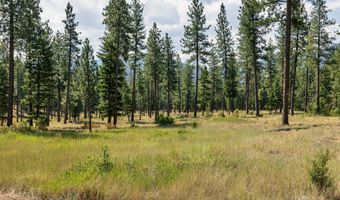 13902 Highland Trl, Alberton, MT 59820
