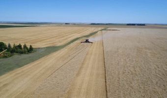 County Road 47 Ne1/4 35-161-76, Bottineau, ND 58318