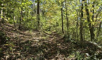 HURT HOLLOW RD, Banco, VA 22711