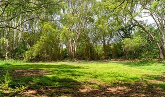 HAUIKI RD, Kapaa, HI 96746