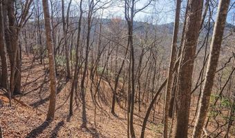 Ararat Highway, Ararat, VA 24053