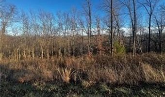 Selkirk Drive lot 8, Bella Vista, AR 72715