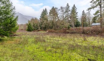 Upper Cow Creek Road, Azalea, OR 97410
