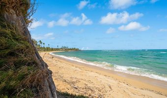 4-1250 KUHIO Hwy D101, Kapaa, HI 96746