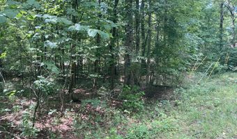 Lot 1069 Iron Gate Drive, Baneberry, TN 37890