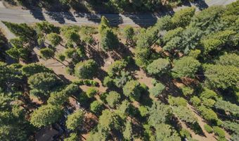 403 Sierra Pkwy, Camp Connell, CA 95223