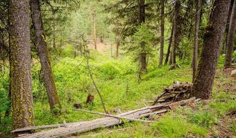 6 Three Point Rd, Cascade, ID 83611