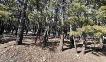 Lot 563 Lakeview Park Drive, Angel Fire, NM 87710