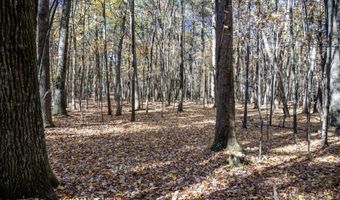 Lot 33 S Badger Lane, Arkdale, WI 54613