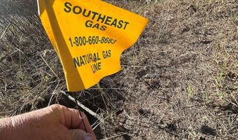 20 Ac State Hwy 95 Columbia Rd, Abbeville, AL 36310
