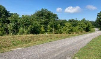 Lot 36 Lanis Rd, Baxter, TN 38544