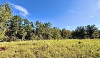 Eugene Ward Road, Adrian, GA 31002