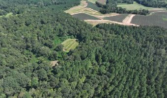 4496 State Hwy 130, Banks, AL 36005