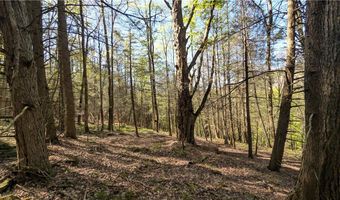 East River Road lot 5, Andes, NY 13731