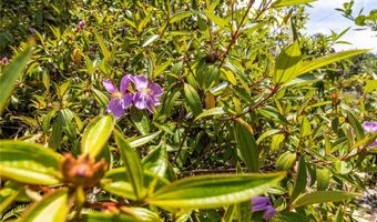 15-929 Lemiwai Rd, Keaau, HI 96749
