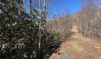 Lot # 70 Tall Tree Lane, Banner Elk, NC 28604