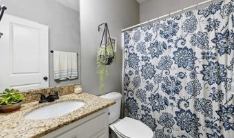 313 Derek Ct, Alexander, AR 72002