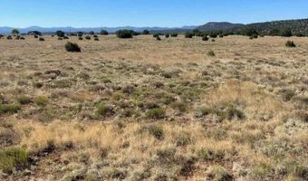 13 County Road 8006, Concho, AZ 85924