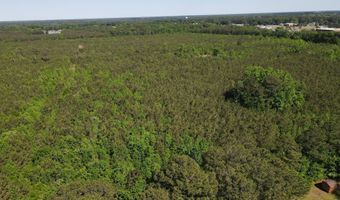 Colice Hall Lane, Ahoskie, NC 27910