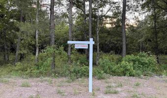 0 Pine Grove Rd Pine Grove Rd Lot 1, Bay Minette, AL 36507