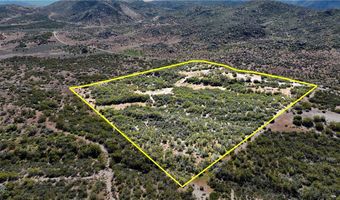 55355 Tule Peak Rd, Anza, CA 92536
