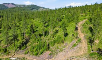 NNA Stone Rd Lot 5 20.0 Acres, Blanchard, ID 83804