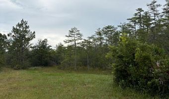 4539 NW Miller/White LN Rd, Altha, FL 32421