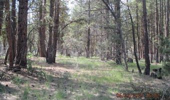 Golden Eagle Drive 5, Bonanza, OR 97623