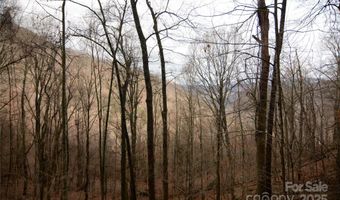 Jacks Knob Road, Barnardsville, NC 28709