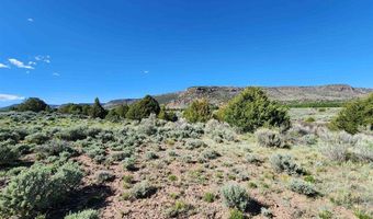 Conejos River Trails lot 10, Antonito, CO 81120