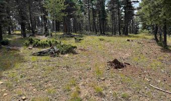 S Vail Overlook lot 310, Angel Fire, NM 87710
