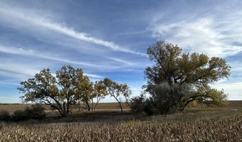00000 CR 140, Alexander, KS 67513